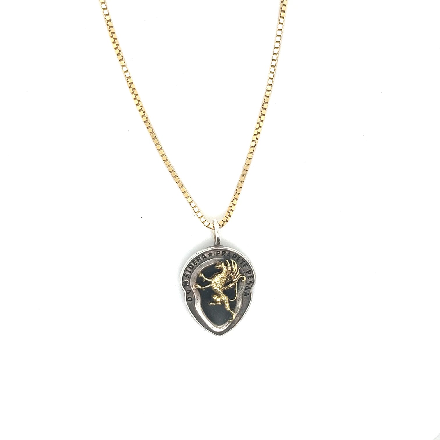 Griffin "Star Like With Wings" Charm 18kt Gold and Sterling Silver