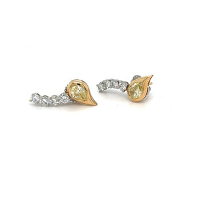 Platinum and 18kt Yellow Gold Ear Climber Earrings