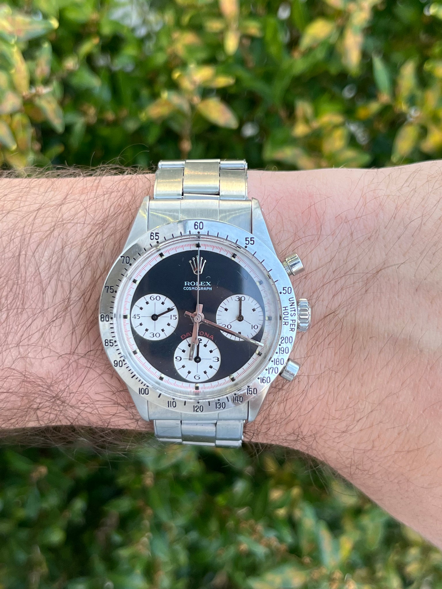 1968 Rolex Newman Dial Daytona ref 6239